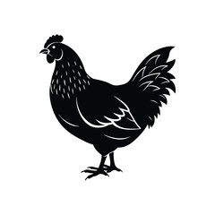 Classic black silhouette of a chicken hen, farm animal graphic isolated on white background