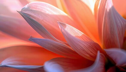 A macro view of overlapping flower petals in shades of peach, pink, and lavender, with sunlight illuminating their textures.