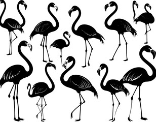 Obraz premium Black flamingo silhouettes, standing alone and grouped, on a white background