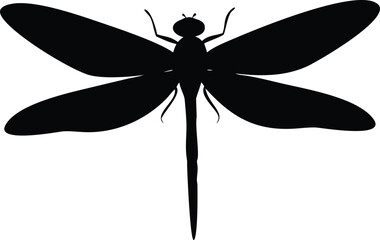 A striking silhouette of a dragonfly showcasing its delicate wings and slender