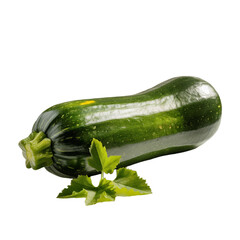 zucchini isolated on white