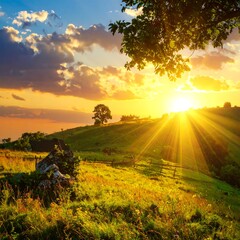 Obraz premium A vibrant sunset casts golden rays over a rolling green landscape with a lone tree silhouetted on a hill. A tree branch frames the light