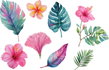 watercolor pink tropical flowers set hand drown illustration