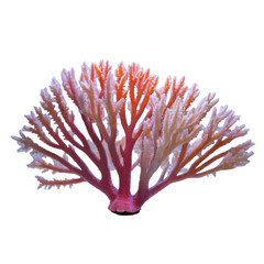 tree made of matches isolated on white