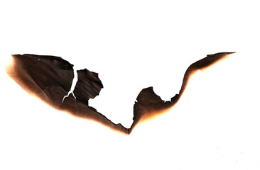 Real Burned Paper Frame, Grunge Texture Background, burning edge