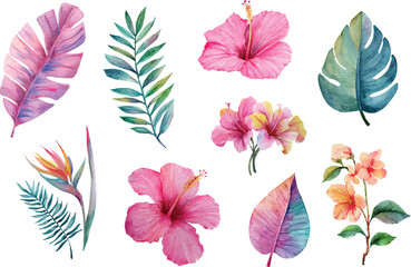 vector set of colorful leaves