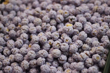 Traditional Pakistani roasted chickpea sweet showing sugar coated chana snack confection