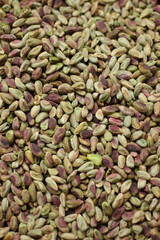 Shelled pistachio nuts texture background showing green pista kernels natural color pattern closeup