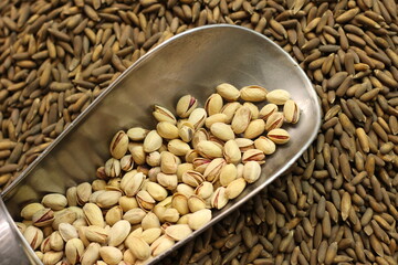 Pistachio nuts in shell with metal scoop on chilghoza pine nuts background texture