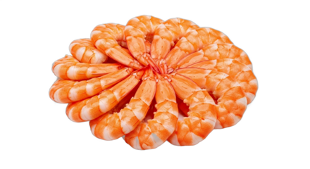 A circular arrangement of freshly cooked and peeled shrimp with tails. PNG Transparent