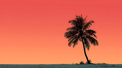 Solitary palm tree silhouette against a vibrant orange red sky