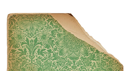 Torn antique paper with green floral damask pattern isolated on a transparent background edge