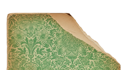 Torn antique paper with green floral damask pattern isolated on a transparent background edge