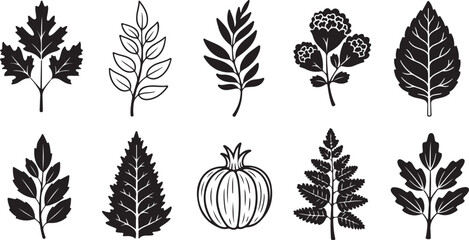 vector set of autumn leaves