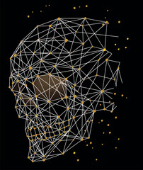 Stylized skull structure illustration. Wireframe style art.