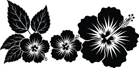 Black silhouette hibiscus flowers with leaves, tropical floral vector illustration set, Hawaiian blooming plant, isolated nature elements for design.