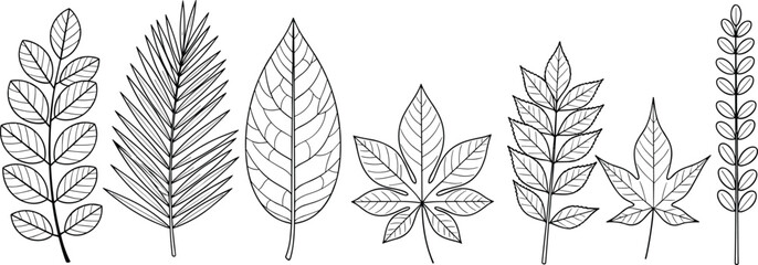 Hand drawn leaves collection, tropical and forest foliage, black outline vector illustration, isolated nature elements for botanical floral design.