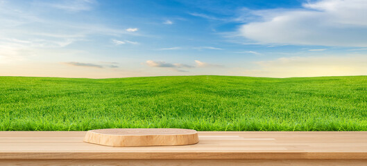 Product Showcase in Nature's Embrace: An empty, wooden display podium sits invitingly, set against a backdrop of a vivid green meadow under a bright, cloud-dotted blue sky.