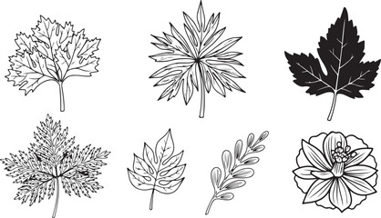 set of autumn leaves