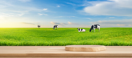 Dairy Cattle in a Scenic Meadow: Dairy cattle graze in a verdant field, under a sky with floating clouds. This image represents the idyllic scene of animal agriculture and sustainable practices.