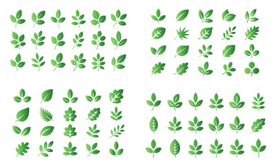 Leaf icon collection with various botanical shapes in green vector design
