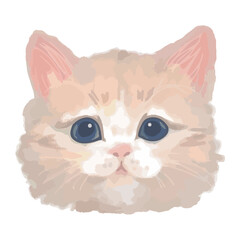Obraz premium Realistic Cats of the World –Norwegian Forest Cat – Face Vector Illustration