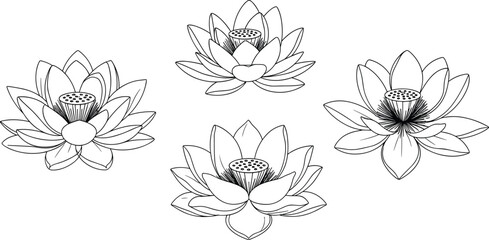 Stylized black-and-white lotus flower illustrations with layered petals and seed pods, symmetrical floral design for spiritual and artistic use