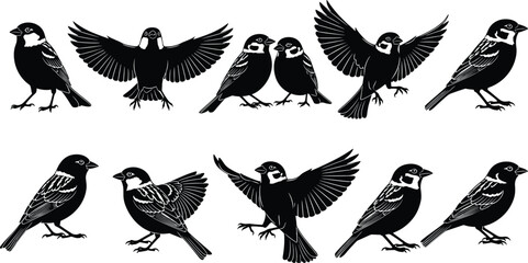Collection of black sparrow silhouettes, vector illustration set of small birds flying and perched, isolated nature design elements for logo or art.