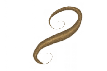 Brown furry animal tail, fluffy long appendage with a curly tip, isolated on transparent background, fantasy creature element