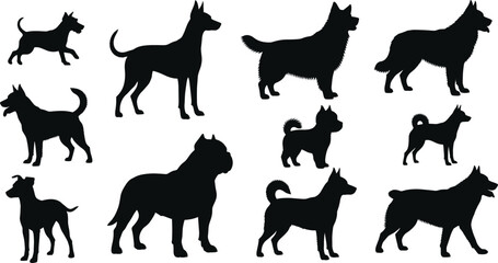 Dog silhouette, breed variety, black outline, pet posture, canine shape, standing dog, motion pose, tail type, ear style, fur texture
