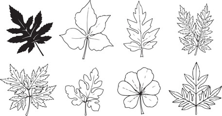 set of vector silhouettes of trees
