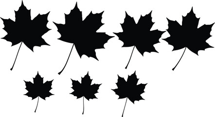 Set of black silhouettes of maple leaves of different sizes, autumn foliage vector illustration, isolated on white background.