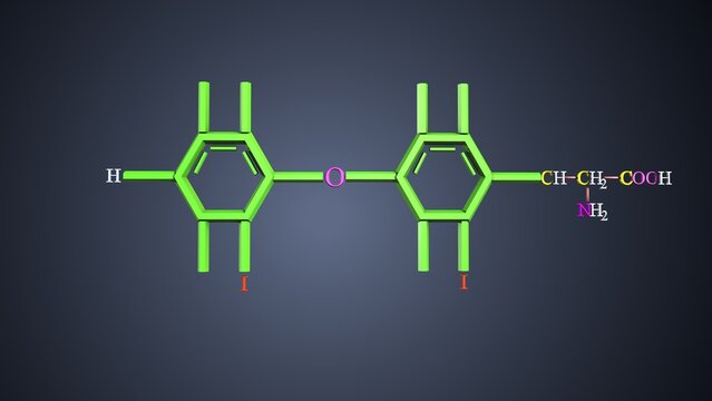 triiodothyronine formula anatomy. 3d illustrations
