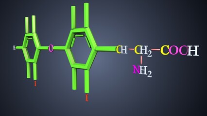 triiodothyronine formula anatomy. 3d illustrations