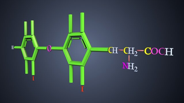 triiodothyronine formula anatomy. 3d illustrations
