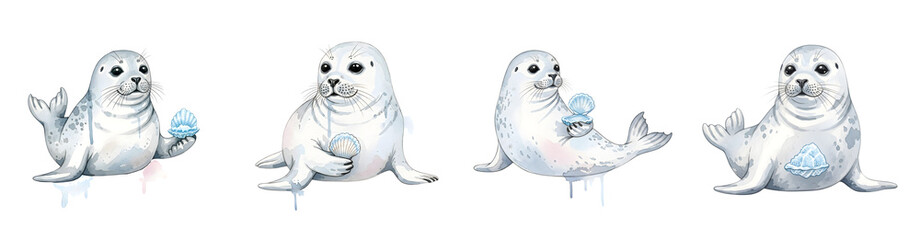 Four white baby seals holding shells and ice fragments white seal harp seal transparent background