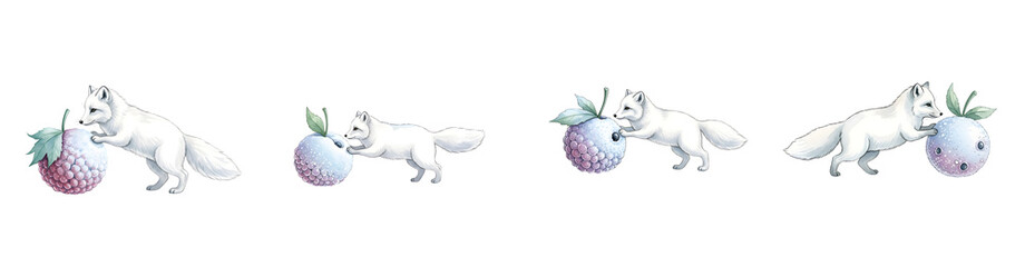 Four Arctic Foxes Interacting With Frosted Berries On A Transparent Background Isolate
