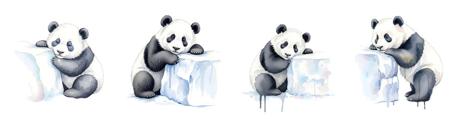 Four adorable baby pandas resting on ice blocks watercolor style isolate