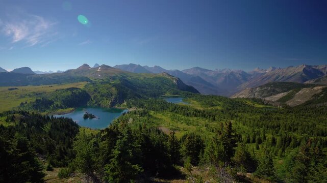 Alpine lakes sit across green plateau near Lake O Hara in Yoho National Park as rugged Rocky Mountain peaks rise under clear blue sky creating bright peaceful high elevation scene in wide drone view.