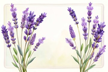 Naklejka premium Elegant purple lavender floral border design element