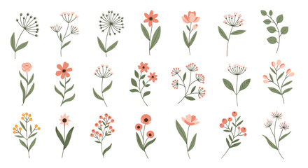 Large collection of delicate hand-drawn wildflowers and botanical branches in soft pastel colors for elegant design projects.