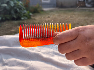 Woman hand pulling her hair fall from a comb wooden comb after hair combing. Closeup focused hairbrush with hair signs of Alopecia and hairfall among women 