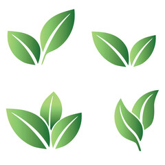 set of different types of green leaves. Concept for nature-themed designs and eco-friendly projects. Vector illustration