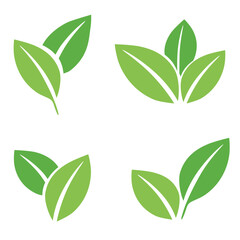 set of different types of green leaves. Concept for nature-themed designs and eco-friendly projects. Vector illustration