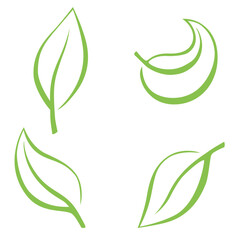 set of different types of green leaves. Concept for nature-themed designs and eco-friendly projects. Vector illustration