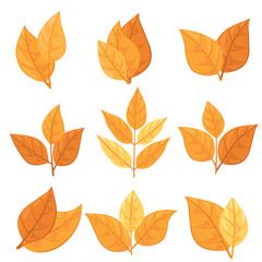 set of different types of autumn leaves. Concept for nature-themed designs and eco-friendly projects. Vector illustration