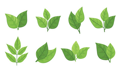 set of different types of green leaves. Concept for nature-themed designs and eco-friendly projects. Vector illustration