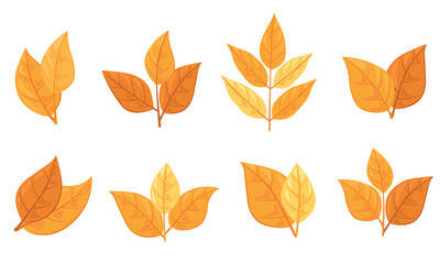set of different types of autumn leaves. Concept for nature-themed designs and eco-friendly projects. Vector illustration
