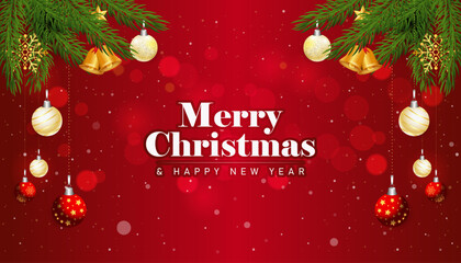 Merry Christmas is celebrated on December 25th to honor the birth of Jesus Christ.
