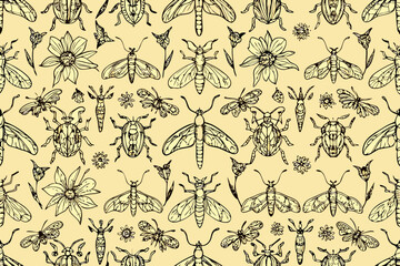 Hand Drawn Doodle Insects and Flowers Seamless Pattern on Pale Yellow Background butterfly moth